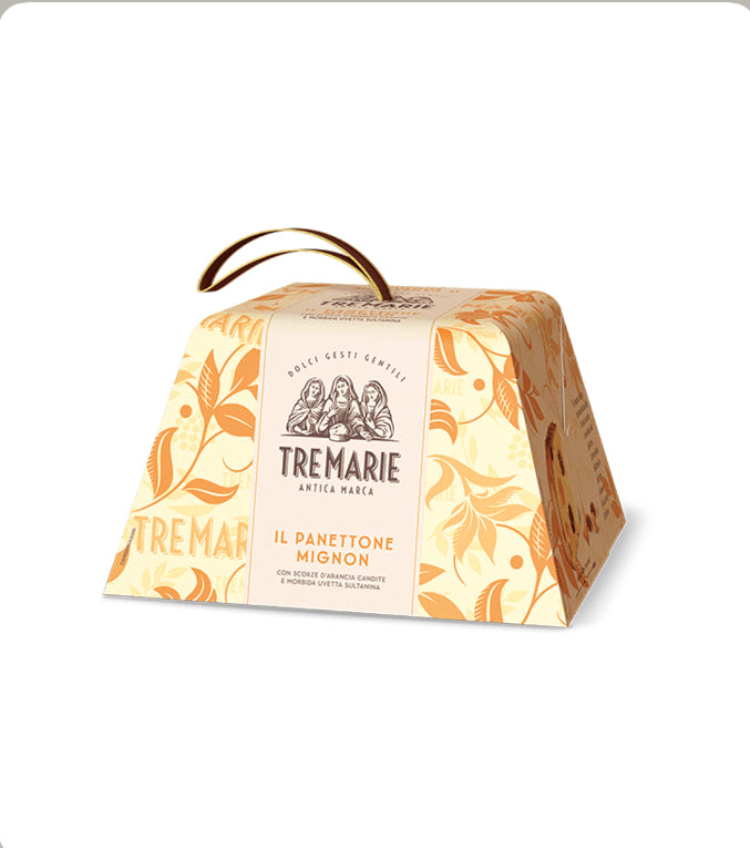 PANETTONE TRADIZIONALE 100gr*24