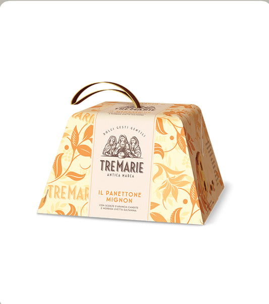 PANETTONE TRADIZIONALE 100gr*24