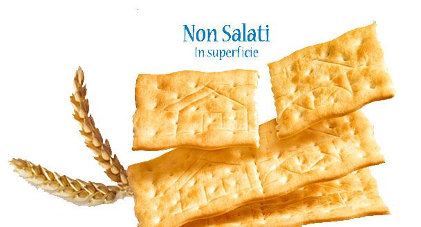 MULINO BIANCO NON SALATI 500G 9PZ